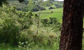 Imagem 3: Sítio 20 Hectares Arantina -Sítio Pêssego 20 Hectares