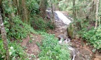 Imagem 5: Fazenda/Sítio/Chácara para venda possui 14000 metros quadrados em Centro - Bueno Brandão