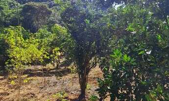 Imagem 4: Sítios/chácara/Fazendas