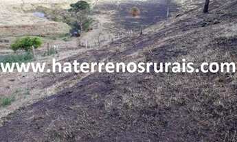 Imagem 3: Sítio 11 Hectares Liberdade - Sítio Bom Jardim 23 Hectares