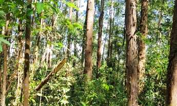 Imagem 4: Fazenda/Sítio/Chácara para venda com 200ha em Zona Rural - Córrego Danta - MG