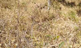 Imagem 7: Lote/Terreno para venda em Caldas Novas em Mansões Recanto da Serra - Caldas Novas - GO