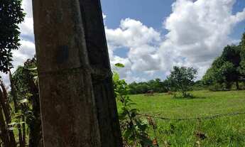 Imagem 2: São 7 heketare com mas de 85% aproveitalvel e plano, se vende todo ou fração de heketares