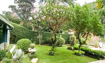 Imagem 7: Lot. Vale da Lua, local dos Eucalipto e araucária