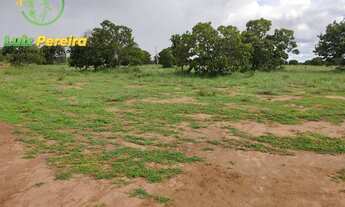 Imagem 4: FAZENDA À VENDA NO FORMOSO DO ARAGUAIA-TO- 1936 HECTARES (DUPLA APTIDÃO