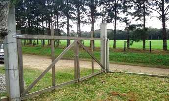 Imagem 6: Excelente Chácara com 2.574,39 m2 com registro de moveis 150,000 Tabatinga tijucas do sul