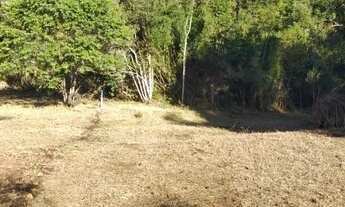 Imagem 5: Excelente Chacara com 13.000 m2 em C. Largo da Reseira 390.000