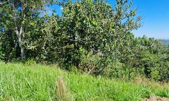 Imagem 3: Terreno em São Francisco Xavier-SP