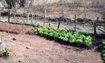 Imagem 4: Sítio 48 Hectares -Sítio 93 Hectares Arantina