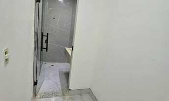 Imagem 7: Castanheiras Governador Valadares