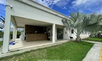 Imagem 5: Apartamento para Alugar no Terrazzo Poti