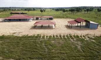 Imagem: Fazenda 240Ha, 110Ha Pasto, 125km de Boa