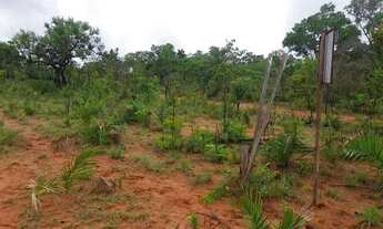 Imagem 6: Belíssima fazenda no Maranhão