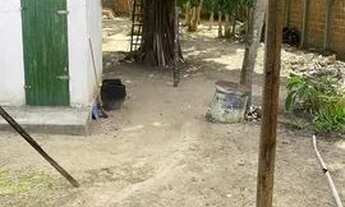 Imagem 5: Casa para alugar