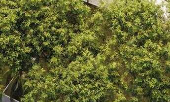 Imagem 4: Apartamento para venda tem 123 metros quadrados com 4 quartos em Tamarineira - Recife - PE