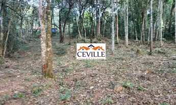 Imagem 2: Lote de 5000 m², Pasárgada