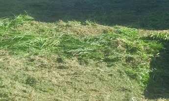 Imagem 6: Terreno a venda ou permulta em São jose