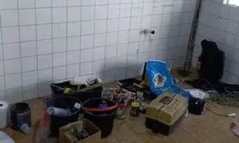 Imagem 6: Casa para alugar no sítio cercado