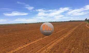 Imagem 6: FAZENDA 18 ALQUEIRES EM SAO VALERIO -TO