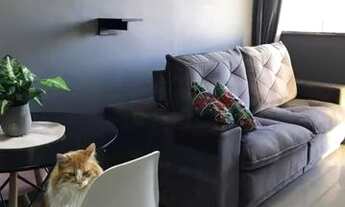 Imagem: Kitnet - Jardim São Paulo