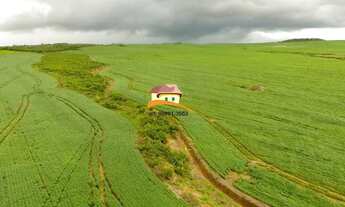 Imagem 5: Fazenda para Venda, Região produtora consolidada