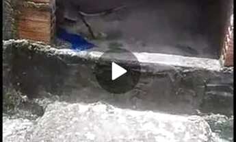 Imagem: Vende casa porto dourado