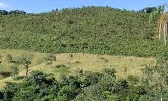 Imagem 2: Fazenda 11 algueire em Aparecida