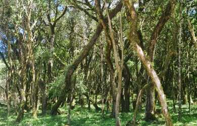 Imagem 4: Imóveis Altos da Serra <br>-Terreno a venda a partir de 40% de entrada e o restante