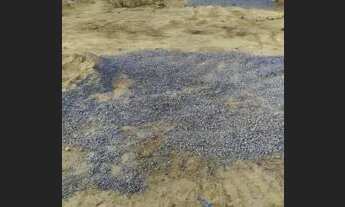 Imagem 3: Lote em capitão eneas