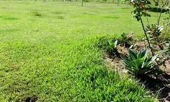 Imagem 6: LL-Vende-se terreno, aceito proposta