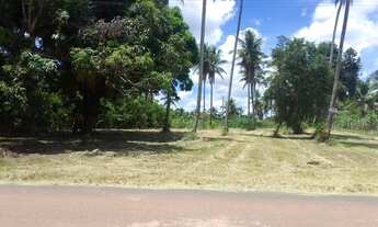 Imagem: Terreno Alagoinhas Bahia