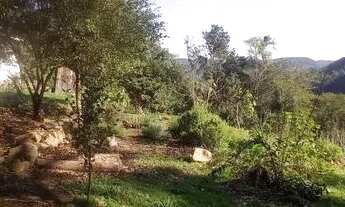 Imagem 3: Sitio com casa 158,900,00