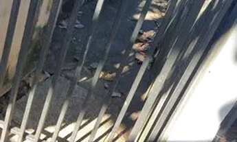 Imagem 4: Vende se terreno