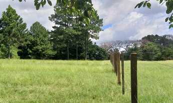 Imagem 4: Terreno em itaara parque Pinhal