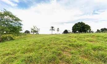 Imagem 7: Sítio a venda em Santo Antônio de Jesus