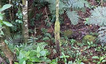 Imagem: Terreno para construção chale