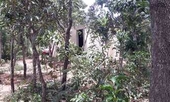 Imagem 4: Aluga-se Casinha no Mato!