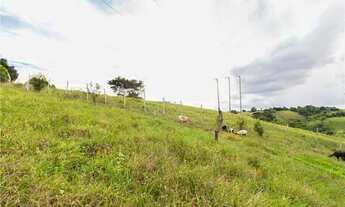Imagem 6: Sítio a venda em Santo Antônio de Jesus