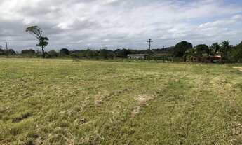 Imagem 5: Terrenos planos em Araruama 360m2 100% legalizado