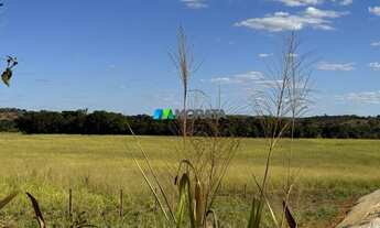 Imagem 4: FAZENDA À VENDA - 165 HECTARES - REGIÃO DE CURVELO (MG