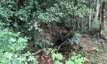 Imagem 6: Chácara de 7,4 hectares em Ibema, próximo a cidade!