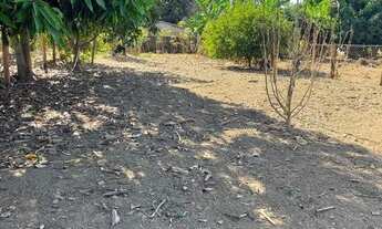 Imagem: Vendo chácara