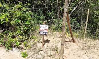 Imagem 4: Lote no Bairro Liberdade 2 em Viçosa MG