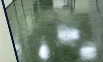 Imagem 4: GALPÃO - PLANALTO PAULISTA - SP