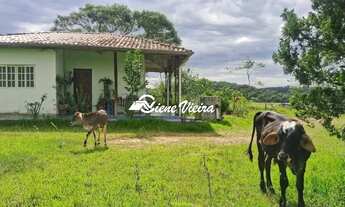 Imagem 2: SITIO RURAL em GUARAREMA - SP, ITAPETI DA SALTO