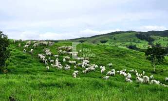 Imagem 2: Fazenda de 238 Alqueires em Pirenópolis
