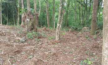 Imagem 4: Chácara de 4.686m² pertinho de Gramado