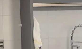 Imagem 7: APARTAMENTO GARDEM 2 SUÍTES LAVABO RIBEIRÃO DA ILHA FLORIPA