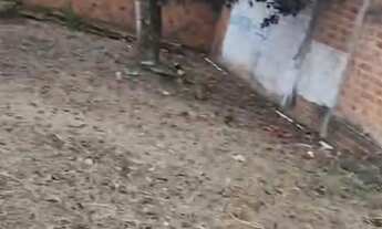 Imagem 4: Vendo terreno Murado no sítio Gapara?