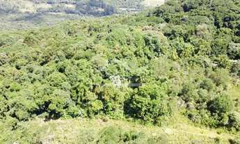 Imagem 3: Amplo terreno à venda na cidade de Picada Café na Serra Gaúcha